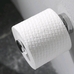 Kosmos Держатель запасной туалетной бумаги (402324)